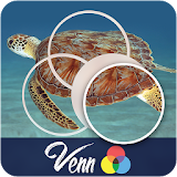 Venn Turtles: Circle Jigsaw icon