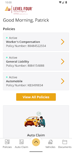 Level Four Insurance Online Screen 2
