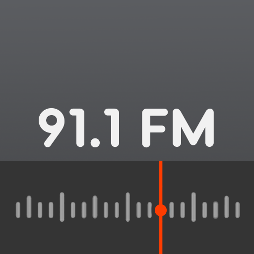 Rádio Teófilo Otoni FM 91.1 logo