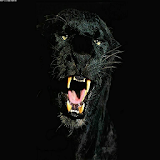 black panther Live Wallpaper icon