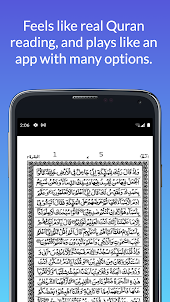 Hifz/Hafizi Quran-15 Lines