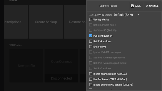 VPN Client Pro Screenshot