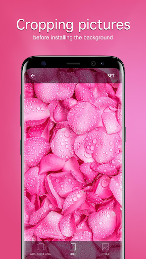 Pink Wallpapers 4K Screen 3