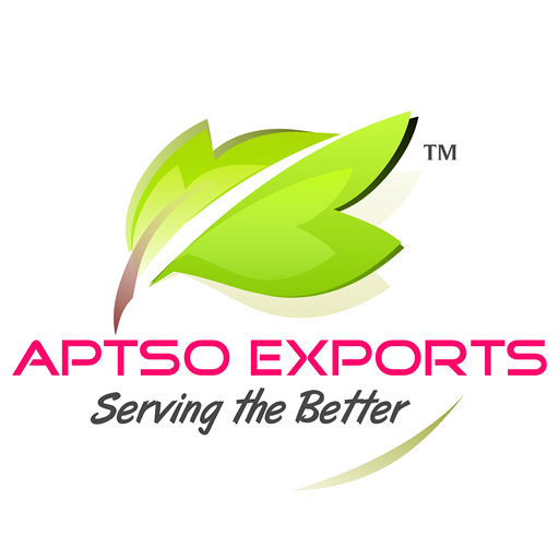 Aptso Exports logo