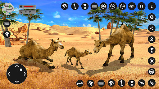 Camel Family Life Simulator 8