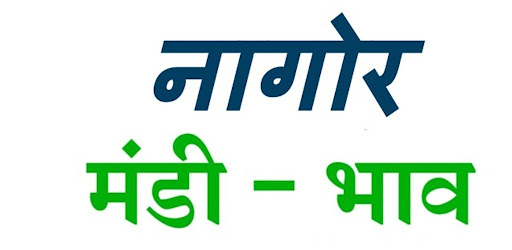 Nagaur Mandi Bhav Today