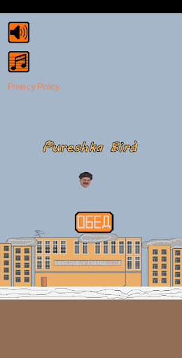 Android application Pureshka Bird screenshort