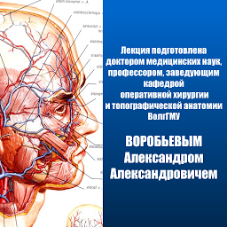 Icon image Оперативная хирургия лекция №4