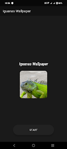 Iguanas Wallpaper