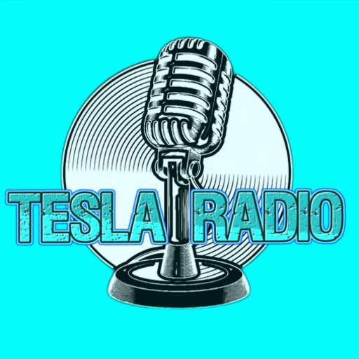 Tesla Radio Screen 2