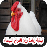 Cover Image of Herunterladen كيفية زيادة وزن الفراخ البيضاء  APK