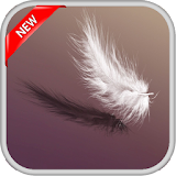 Feather Live Wallpapers icon