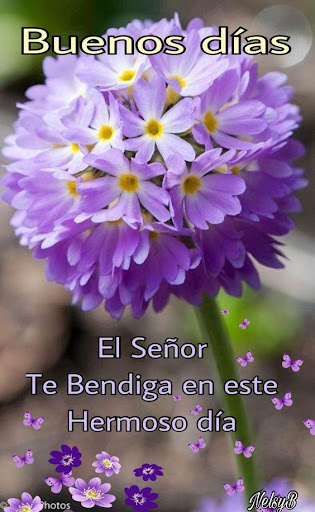 Buenos dias y Buenas noches