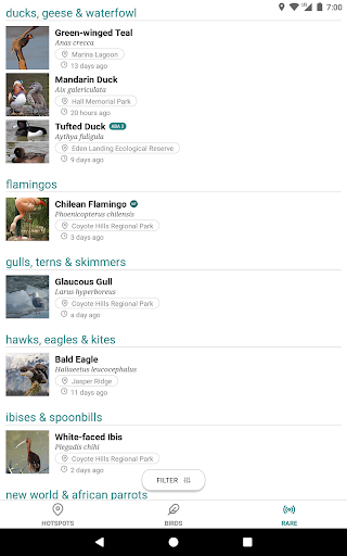 Screenshot of GoBird - Guide to Nearby Birds