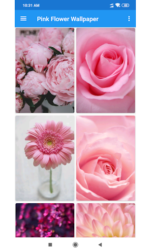 Pink Flower Wallpaper