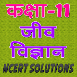 11th class biology (जीव वठज्ञान) solution in hindi icon