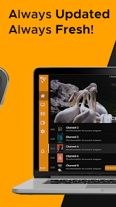 Screenshot 2 MaxPlayer Smarters IPTV player android