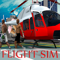 Tag Team Wrestlers Transport Flight Simulator