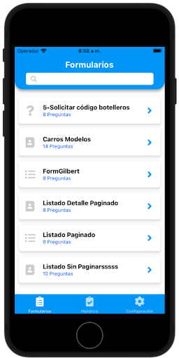 Bis Formulario Screen 2