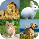 Animal quiz - Animal matching icon
