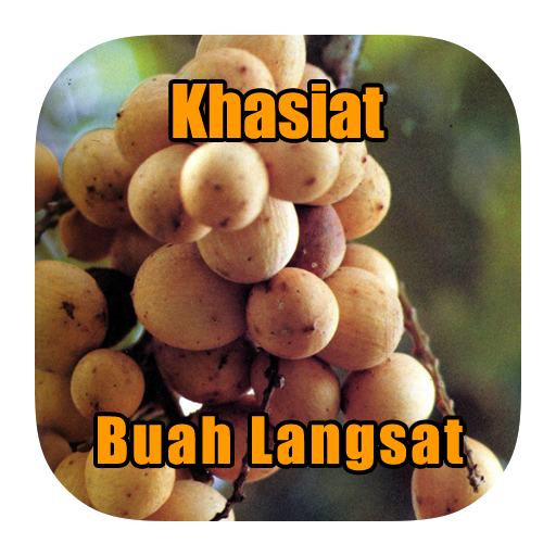 Khasiat Buah Langsat