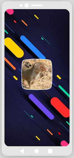 Android application Mongoose Sounds screenshort