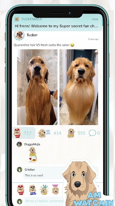 TuckerMoji - Golden Dog Stickeのおすすめ画像3