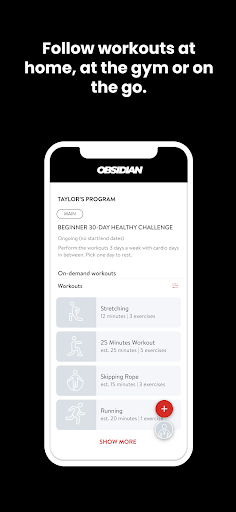 Obsidian Coaching Screen 3