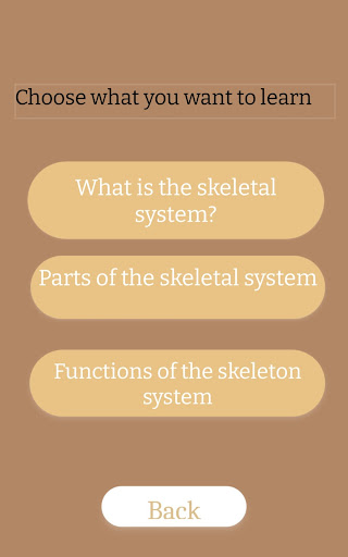 The Skeletal System