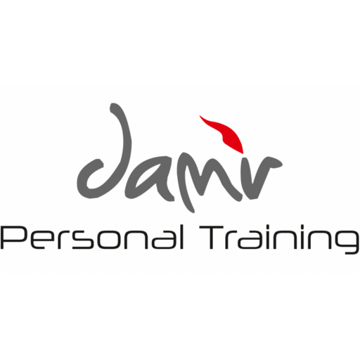 damir logo