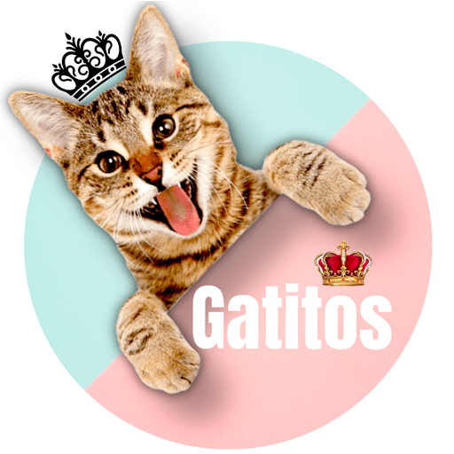 Fondos de pantalla de gatitos logo