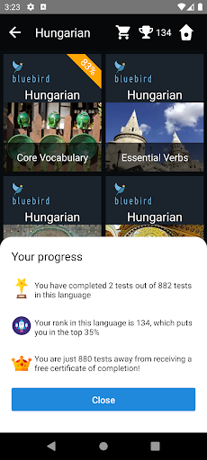 Hungarian Language Tests Screen 3