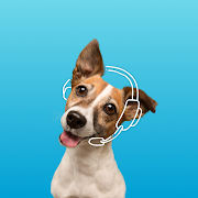 Top 21 Lifestyle Apps Like Petplan Pet Insurance - Best Alternatives