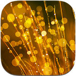 Cover Image of Download Dream Live Wallpapers 1.1.0 APK