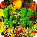 Flowers 4K Video Wallpaper Apk