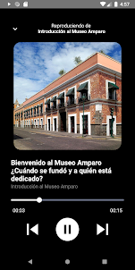 Museo Amparo Plus