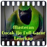 Masteran Cucak Ijo Full Gacor icon