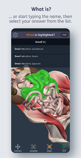 Primal’s 3D Human Anatomy Quiz Screen 2