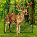 Deer in Forest Live Wallpaper icon