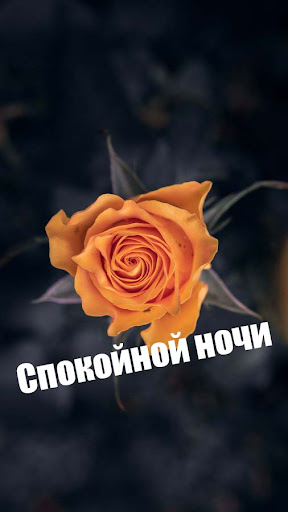 Спокойной ночи GIFs 2023 Screen 3