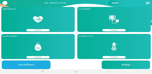 Portable Healthcheck Screen 3