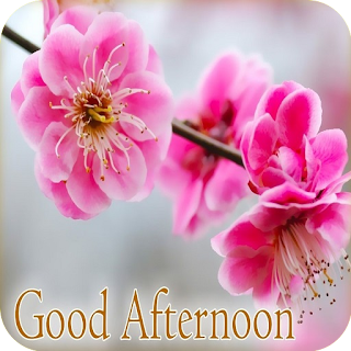 Good Afternoon Images 2024