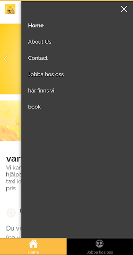 Lintaxi Screen 2