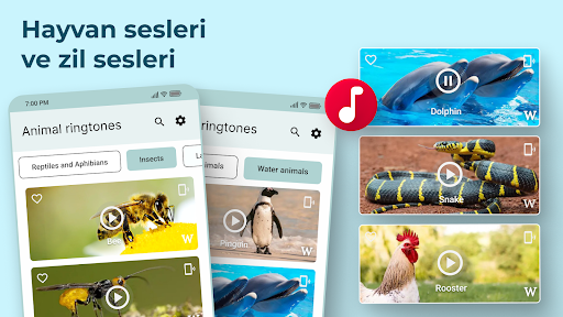 Uygulama önizlemesi