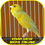 Cover Image of Unduh Kenari Ngerol Panjang 1.6 APK