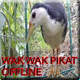 Masteran Wak Wak Pikat Offline icon