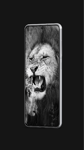 Black Wallpaper HD Background Screen 3