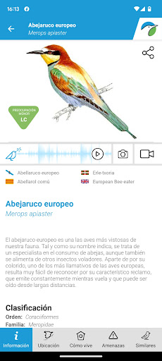 Aves de España Screen 3