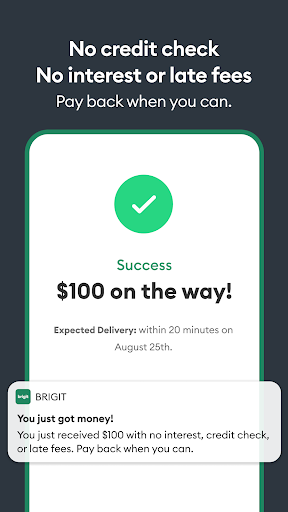 Brigit: Borrow & Build Credit Screen 2