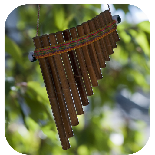 Native American Music logo